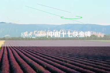 伊犁哈萨克中国十七块金牌