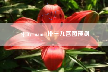 伊犁哈萨克排三九宫图预测
