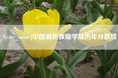 伊犁哈萨克中国消防救援学院历年分数线