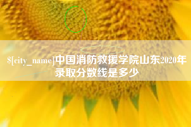 伊犁哈萨克中国消防救援学院山东2020年录取分数线是多少