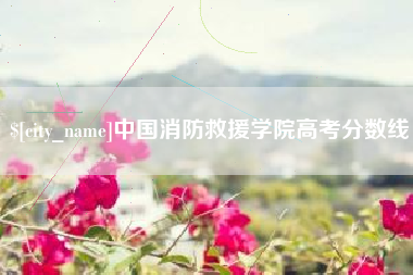 伊犁哈萨克中国消防救援学院高考分数线