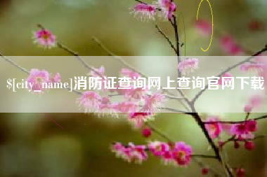 伊犁哈萨克消防证查询网上查询官网下载