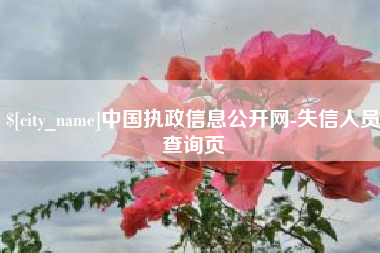 伊犁哈萨克中国执政信息公开网-失信人员查询页