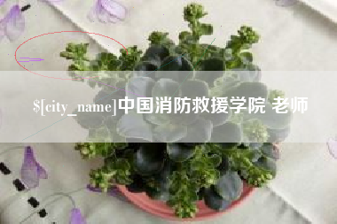 伊犁哈萨克中国消防救援学院 老师