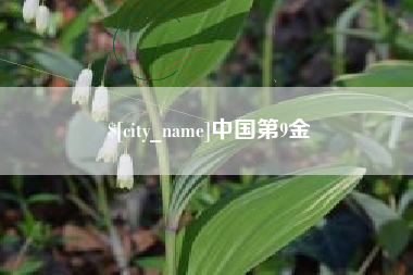 伊犁哈萨克中国第9金