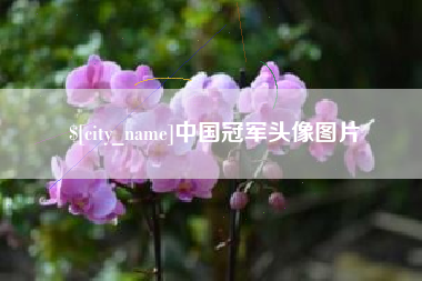 伊犁哈萨克中国冠军头像图片