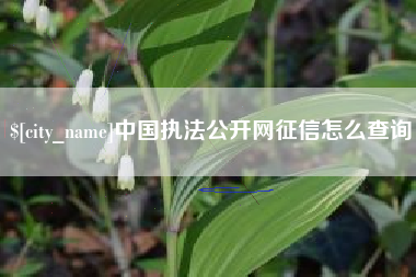 伊犁哈萨克中国执法公开网征信怎么查询