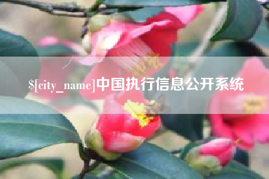 伊犁哈萨克中国执行信息公开系统