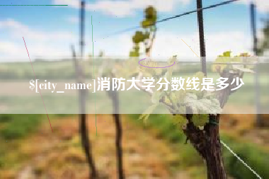伊犁哈萨克消防大学分数线是多少