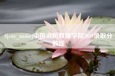 伊犁哈萨克中国消防救援学院2019录取分数线