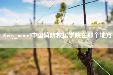伊犁哈萨克中国消防救援学院在那个地方