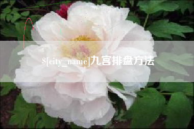 伊犁哈萨克九宫排盘方法