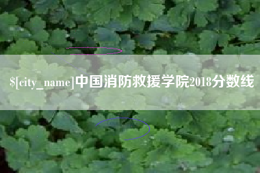 伊犁哈萨克中国消防救援学院2018分数线