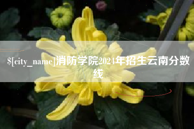 伊犁哈萨克消防学院2024年招生云南分数线