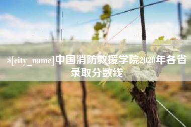 伊犁哈萨克中国消防救援学院2020年各省录取分数线