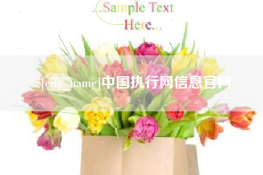 伊犁哈萨克中国执行网信息官网