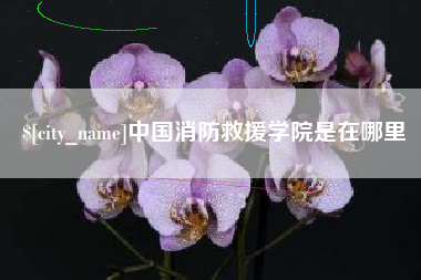 伊犁哈萨克中国消防救援学院是在哪里