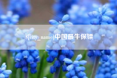 伊犁哈萨克中国最牛保镖
