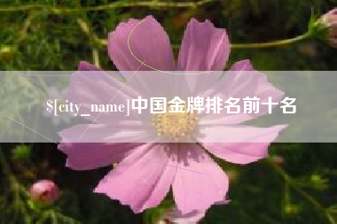 伊犁哈萨克中国金牌排名前十名