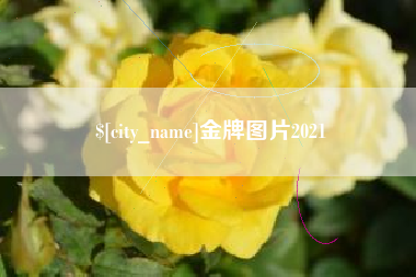 伊犁哈萨克金牌图片2021