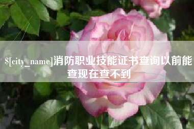 伊犁哈萨克消防职业技能证书查询以前能查现在查不到