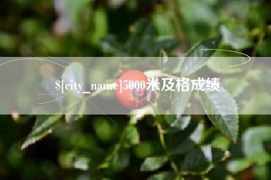 伊犁哈萨克5000米及格成绩