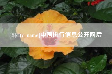 伊犁哈萨克中国执行信息公开网后
