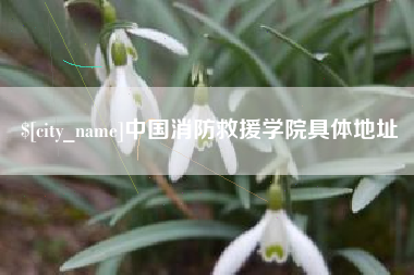 伊犁哈萨克中国消防救援学院具体地址