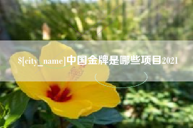 伊犁哈萨克中国金牌是哪些项目2021