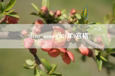 伊犁哈萨克2021年9宫格