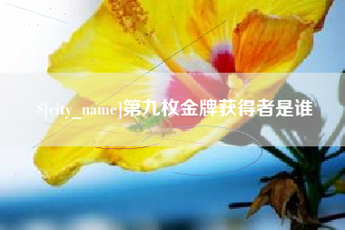 伊犁哈萨克第九枚金牌获得者是谁