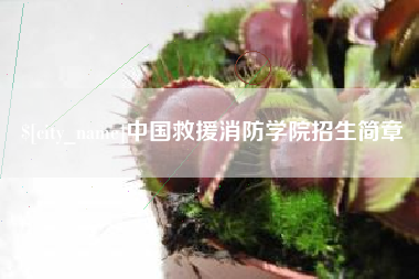 伊犁哈萨克中国救援消防学院招生简章