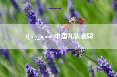 伊犁哈萨克中国九枚金牌