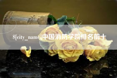 伊犁哈萨克中国消防学院排名前十