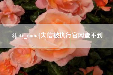伊犁哈萨克失信被执行官网查不到