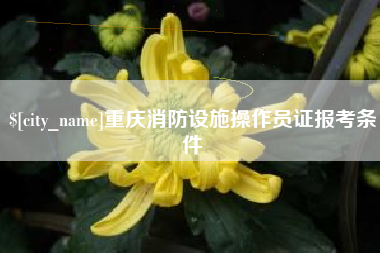 伊犁哈萨克重庆消防设施操作员证报考条件