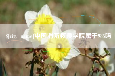 伊犁哈萨克中国消防救援学院属于985吗