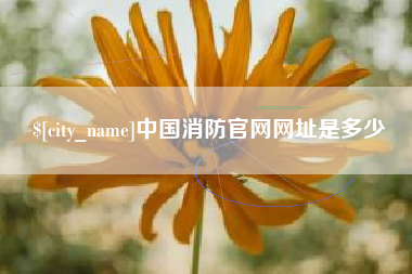 伊犁哈萨克中国消防官网网址是多少