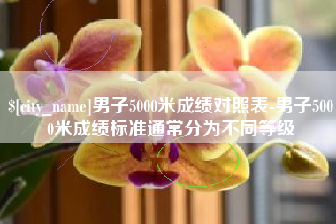 伊犁哈萨克男子5000米成绩对照表-男子5000米成绩标准通常分为不同等级
