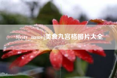 伊犁哈萨克美食九宫格图片大全