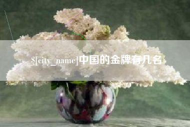 伊犁哈萨克中国的金牌有几名