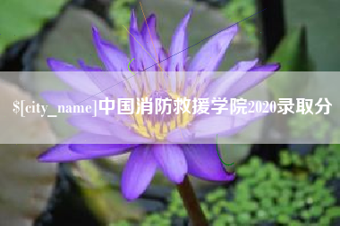 伊犁哈萨克中国消防救援学院2020录取分