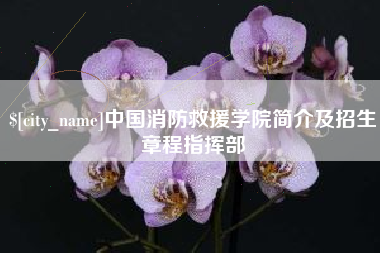 伊犁哈萨克中国消防救援学院简介及招生章程指挥部