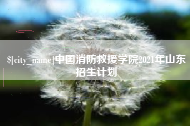 伊犁哈萨克中国消防救援学院2021年山东招生计划