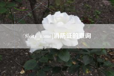 伊犁哈萨克消防证的查询