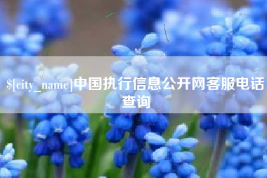 伊犁哈萨克中国执行信息公开网客服电话查询
