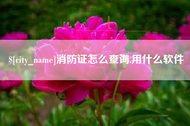 伊犁哈萨克消防证怎么查询,用什么软件
