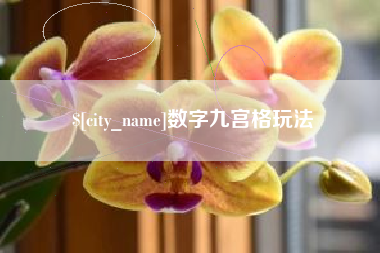 伊犁哈萨克数字九宫格玩法