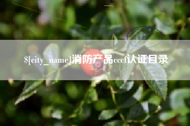 伊犁哈萨克消防产品cccf认证目录