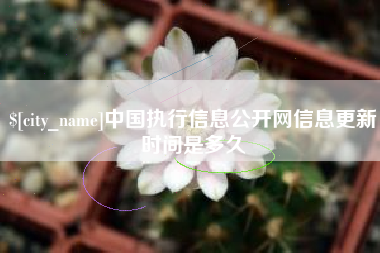 伊犁哈萨克中国执行信息公开网信息更新时间是多久